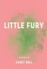 Image for Little Fury