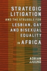 Image for Strategic Litigation and the Struggles of Lesbian, Gay and Bisexual persons in Africa