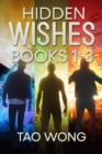 Image for Hidden Wishes: books 1-3 omnibus