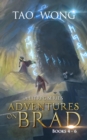 Image for Adventures on Brad Books 4 - 6: A LitRPG Boxset