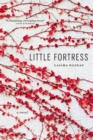 Image for Little Fortress