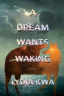 Image for Dream Wants Waking