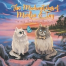 Image for The Madventures of Merlin and Ivy
