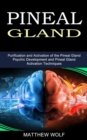 Image for Pineal Gland