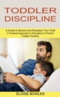 Image for Toddler Discipline : A Practical Approach to Education to Prevent Toddler Conflicts (A Guide to Nurture and Discipline Your Child)