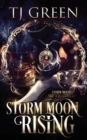 Image for Storm Moon Rising