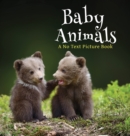 Image for Baby Animals, A No Text Picture Book : A Calming Gift for Alzheimer Patients and Senior Citizens Living With Dementia