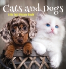 Image for Cats and Dogs, A No Text Picture Book : A Calming Gift for Alzheimer Patients and Senior Citizens Living With Dementia