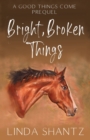 Image for Bright, Broken Things
