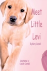 Image for Meet Little Levi
