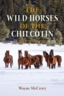Image for The Wild Horses of the Chilcotin : Their History and Future