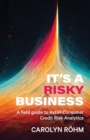 Image for It&#39;s a Risky Business : A field guide to Retail Consumer Credit Risk Analytics
