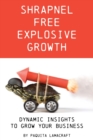 Image for Shrapnel Free Explosive Growth : Dynamic Insights to Grow Your Business