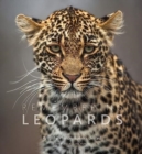 Image for Remembering Leopards