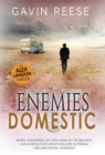 Image for Enemies Domestic