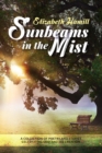 Image for Sunbeams in the Mist