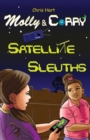 Image for Satellite sleuths