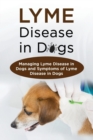Image for Lyme Disease in Dogs