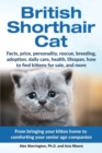 Image for British Shorthair Cat