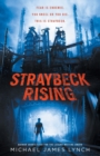 Image for Straybeck rising