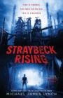 Image for Straybeck Rising