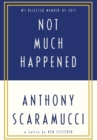 Image for Not Much Happened : Anthony Scaramucci