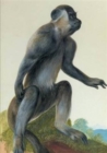 Image for Carnet Blanc, Macaque