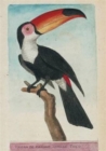 Image for Carnet Blanc, Toucan, Dessin 18e Si?cle