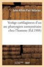 Image for Vestige Cartilagineux d&#39;Un ARC Pharyngien Surnumeraire Chez l&#39;Homme