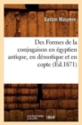 Image for Des Formes de la Conjugaison En ?gyptien Antique, En D?motique Et En Copte (?d.1871)