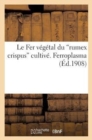 Image for Le Fer V?g?tal Du Rumex Crispus Cultiv?. Ferroplasma (?d.1908)