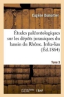 Image for Etudes Paleontologiques Sur Les Depots Jurassiques Du Bassin Du Rhone. Infra-Lias Tome 3