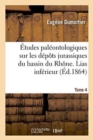 Image for Etudes Paleontologiques Sur Les Depots Jurassiques Du Bassin Du Rhone. Lias Inferieur Tome 4