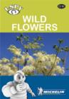 Image for Wild flowers