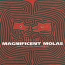 Image for Magnificent molas  : the art of the Kuna indians