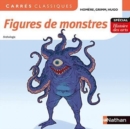 Image for Figures de monstres : anthologie