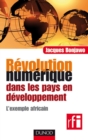 Image for Revolution Numerique Dans Les Pays En Developpement: L&#39;exemple Africain