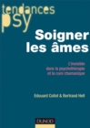 Image for Soigner Les Ames: L&#39;invisible Dans La Psychotherapie Et La Cure Chamanique
