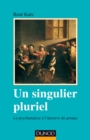 Image for Un Singulier Pluriel - 2E Ed: La Psychanalyse a L&#39;epreuve Du Groupe