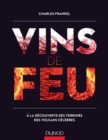 Image for Vins De Feu: A La Decouverte Des Terroirs Des Volcans Celebres
