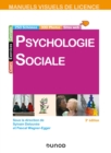 Image for Manuel Visuel De Psychologie Sociale - 3E Ed