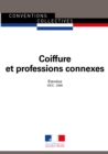 Image for Coiffure Et Professions Connexes: Convention Collective Nationale Etendue - IDCC : 2596 - 24E Edition
