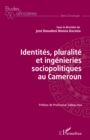 Image for Identites, pluralite et ingenieries sociopolitiques au Cameroun