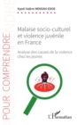 Image for Malaise socio-culturel et violence juvenile en France