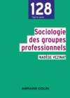 Image for Sociologie des groupes professionnels [electronic resource] / Nadège Vezinat.