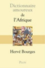 Image for Dictionnaire amoureux de l&#39;Afrique