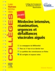 Image for Fiches Medecine Intensive, reanimation, urgences et defaillances viscerales aigues: Les fiches ECNi et QI des Colleges