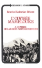 Image for L&#39;Odyssee Mamelouke: A l&#39;ombre des armees napoleoniennes
