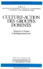 Image for Culture-action des groupes domines: Rapport a l&#39;espace et developpement local