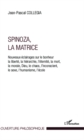 Image for Spinoza, La matrice: Nouveaux eclairages sur le bonheur, la liberte, la herarchie, l&#39;eternite, la mort, la morale, Dieu, le chaos, l&#39;inconscient, le sexe, l&#39;humanisme, l&#39;ecole